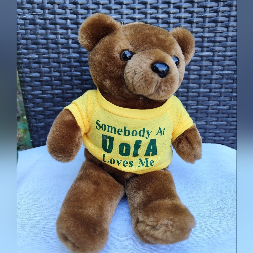 4/$50⭐️Somebody At U of A Loves Me Bear